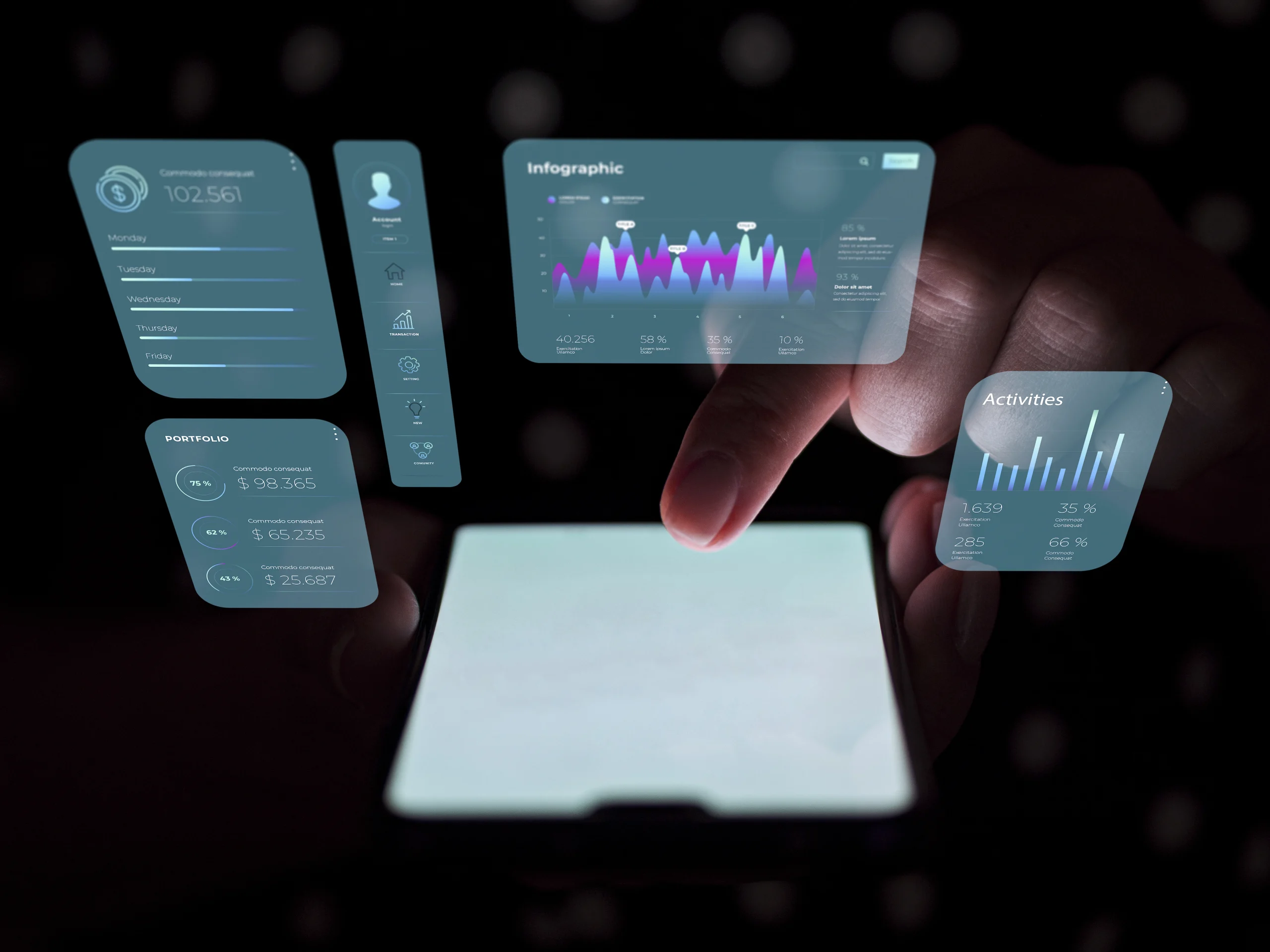 Software / Custom Software Systems